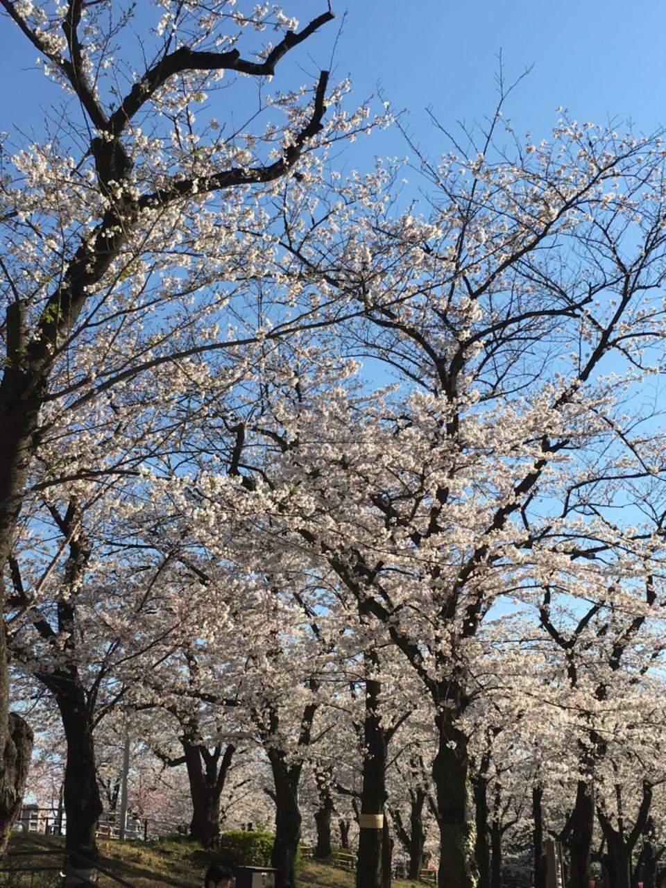 Ryokan Nakadaya Tokio Buitenkant foto